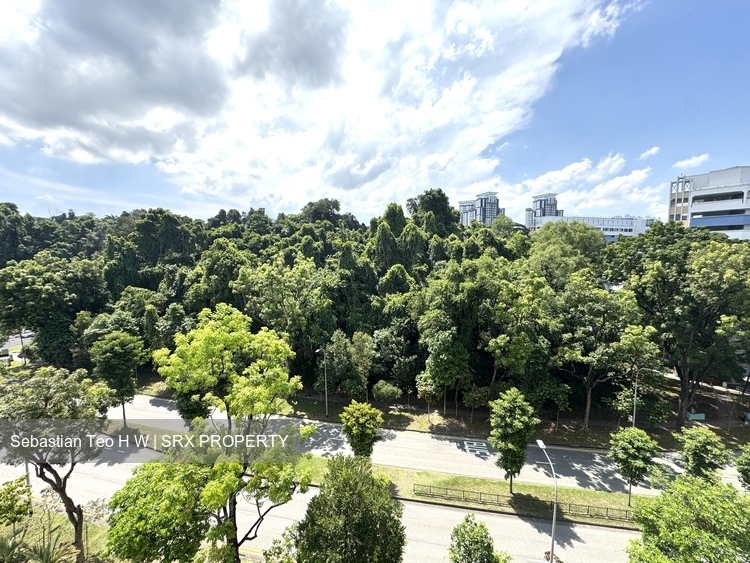 Blk 228 Bukit Batok Central (Bukit Batok), HDB 4 Rooms #452644921
